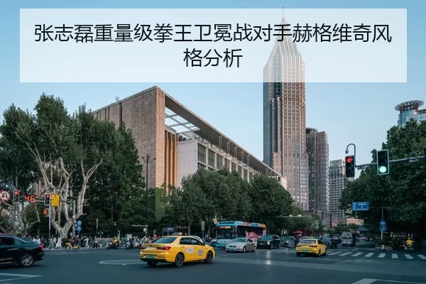 张志磊重量级拳王卫冕战对手赫格维奇风格分析